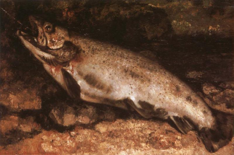 Gustave Courbet Trout Norge oil painting art